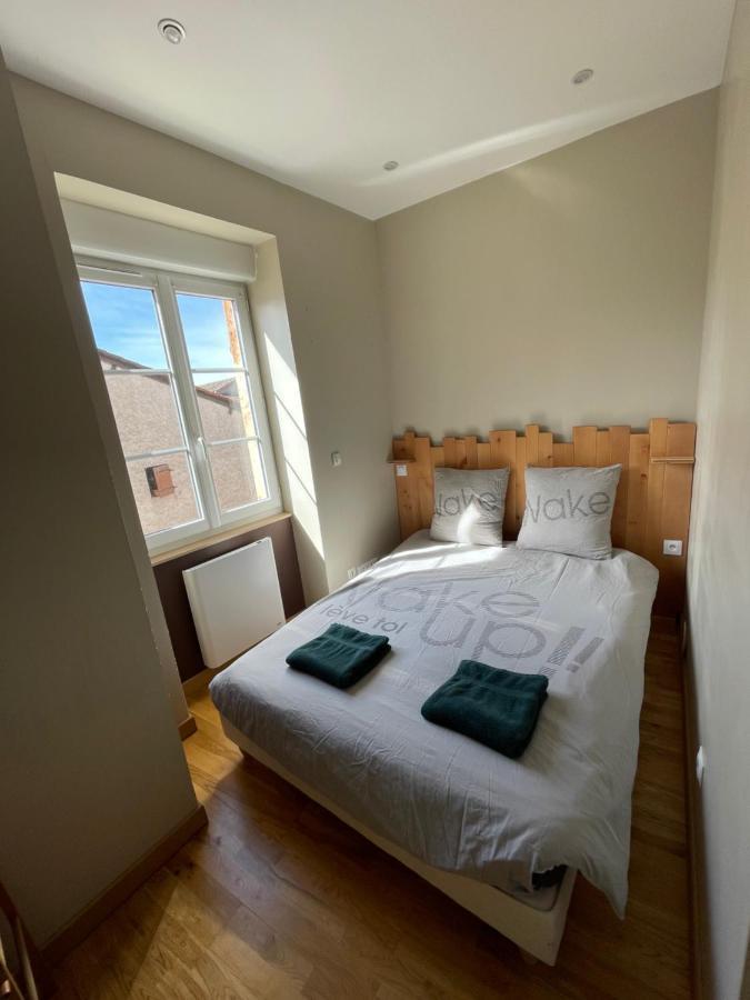 Gite De La Grenouillette Saint-Maurice-de-Satonnay Экстерьер фото